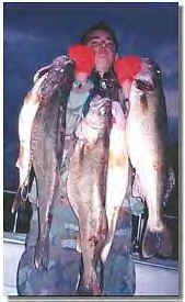 Lake Erie Fishing Report on Lake Erie Walleye Fishing Reports   Lake Erie Fishing