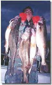 Lake Erie Fishing Report on Lake Erie Walleye Fishing Reports Lake Erie Fishing